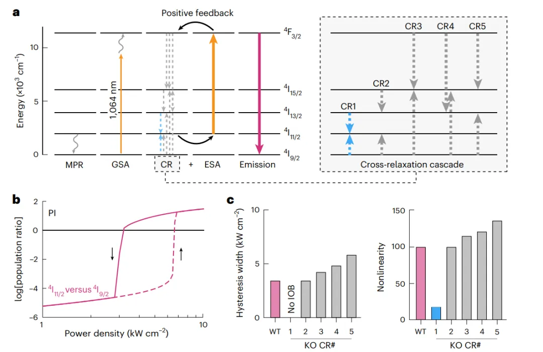 雪崩納米粒子ANPs中的本征光學雙穩(wěn)態(tài)IOB模型。