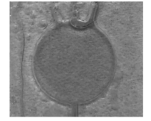 微流控光開關(guān)在實際應(yīng)用中的效果，包括不同流速下的遮光形態(tài)及透光/遮光對比  - 廣西科毅光通信